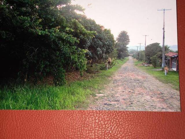 Terreno para Venda em São Pedro - 3