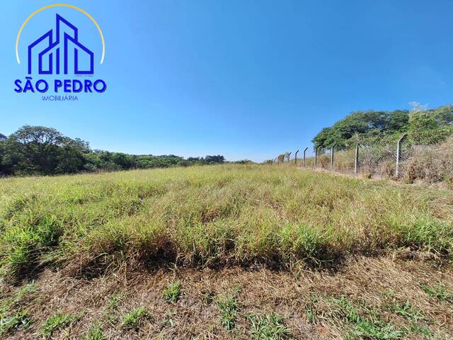 CHACARA para Venda em São Pedro - 5