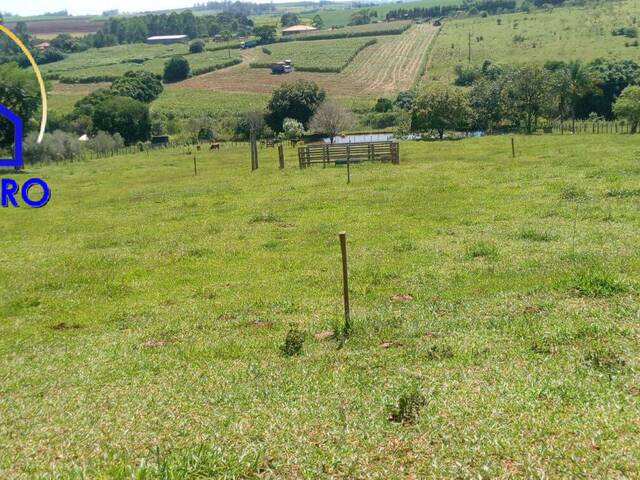 #si1618 - Sítio para Venda em São Pedro - SP - 3