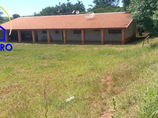 #si1618 - Sítio para Venda em São Pedro - SP - 1