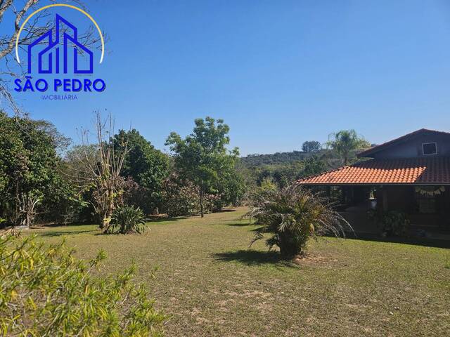 CHACARA para Venda em São Pedro - 5
