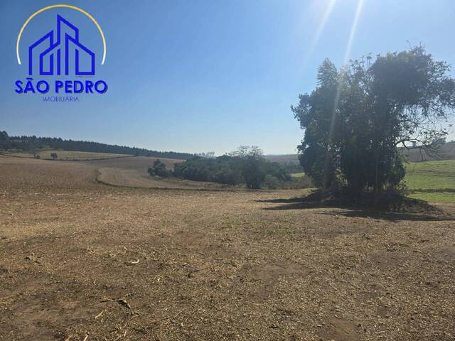 #SI1636 - Sítio para Venda em São Pedro - SP - 1