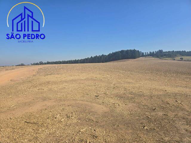 #SI1636 - Sítio para Venda em São Pedro - SP - 3