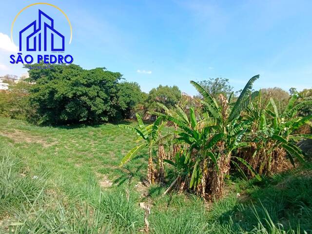 #TE1647 - Terreno para Venda em São Pedro - SP