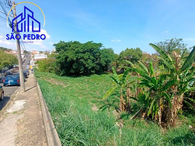 #TE1647 - Terreno para Venda em São Pedro - SP