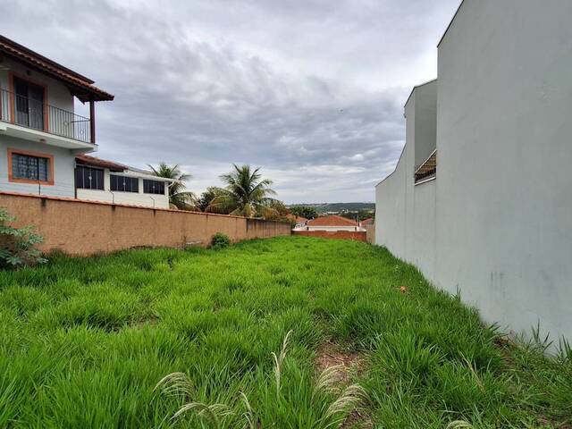 Terreno para Venda em São Pedro - 5