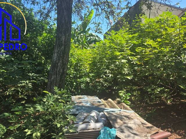 Terreno para Venda em São Pedro - 5