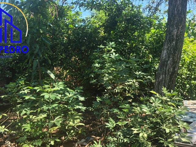 Terreno para Venda em São Pedro - 4