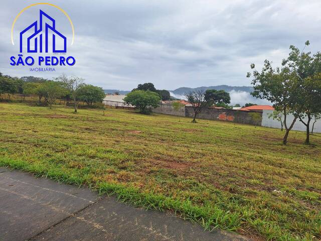 Terreno para Venda em São Pedro - 5