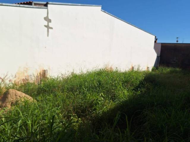 Terreno para Venda em São Pedro - 5