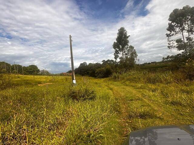 Terreno para Venda em São Pedro - 2