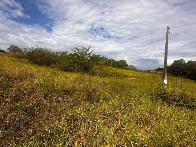 Terreno para Venda em São Pedro - 3