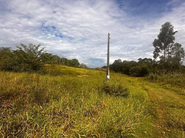Terreno para Venda em São Pedro - 4