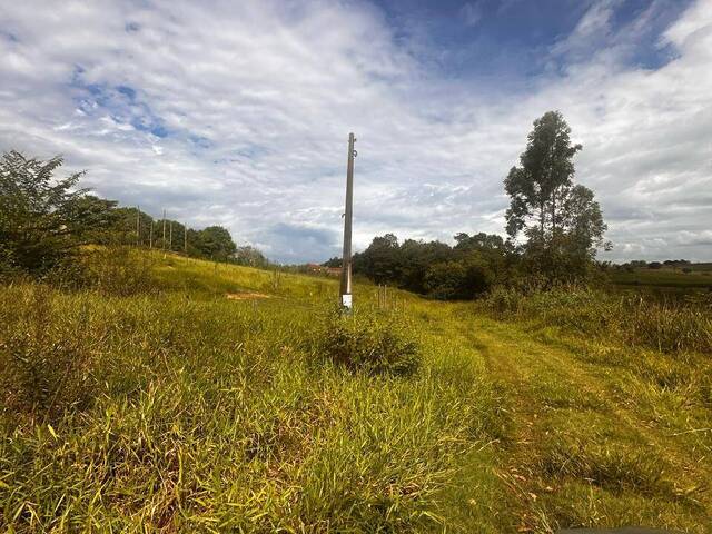 Terreno para Venda em São Pedro - 5