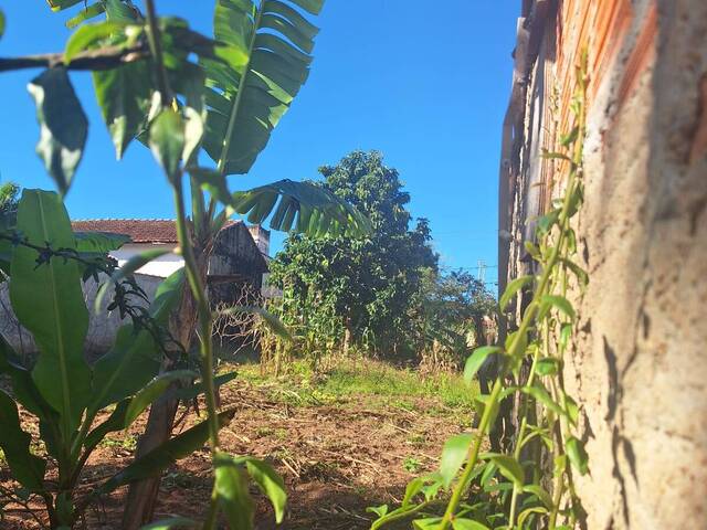 Terreno para Venda em São Pedro - 2
