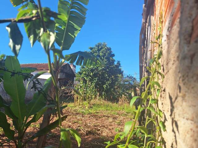 Terreno para Venda em São Pedro - 4