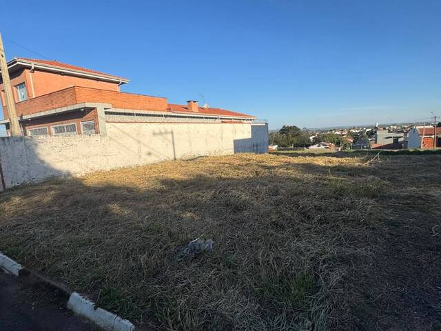 Terreno para Venda em São Pedro - 4