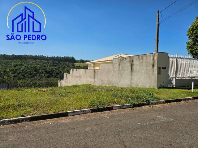 Terreno para Venda em São Pedro - 4