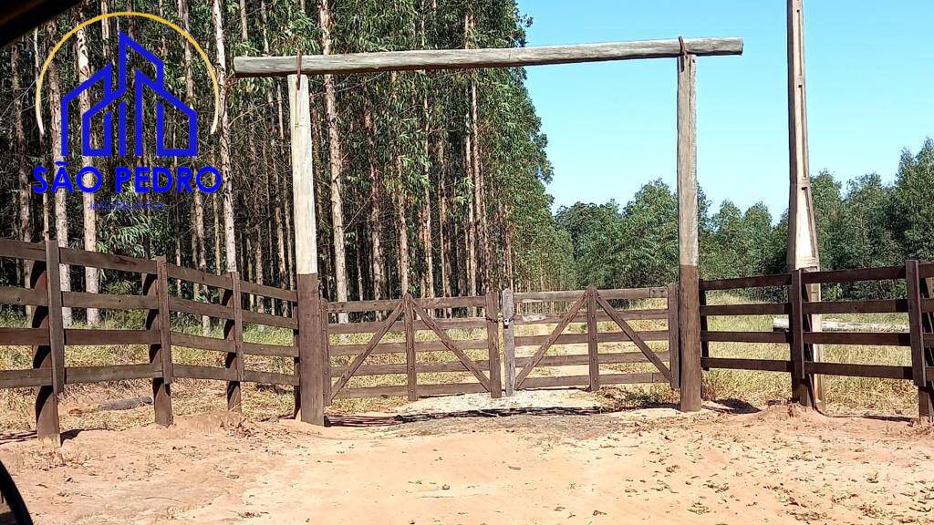 FAZENDA COM APTIDÃO PARA> plantio em eucalipto, plantio de laranja, cana