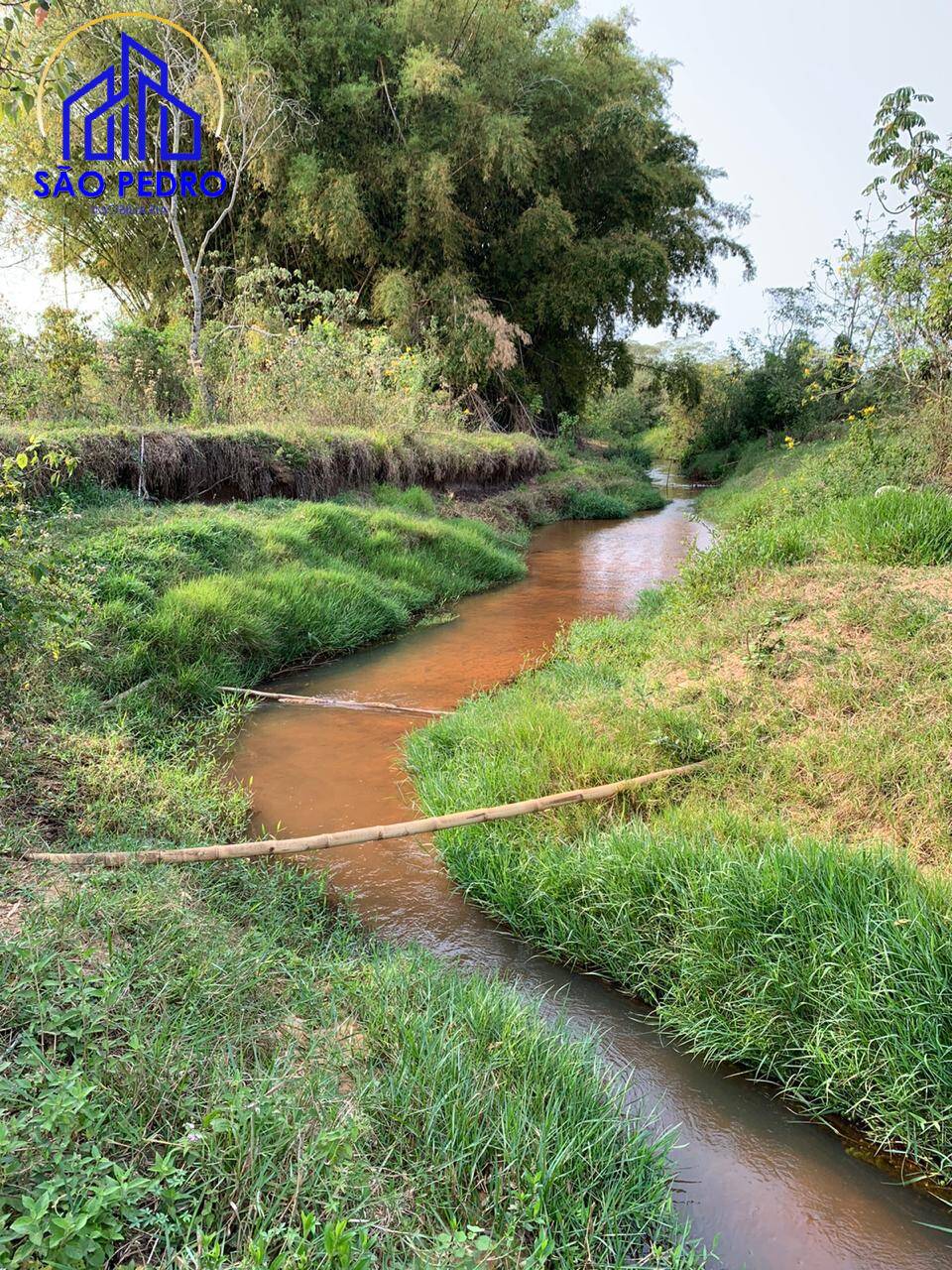 Sítio, 3 quartos, 2 m² - Foto 12