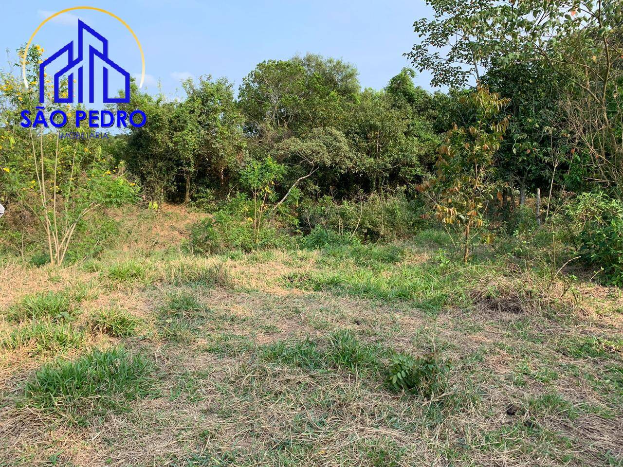 Sítio, 3 quartos, 2 m² - Foto 17