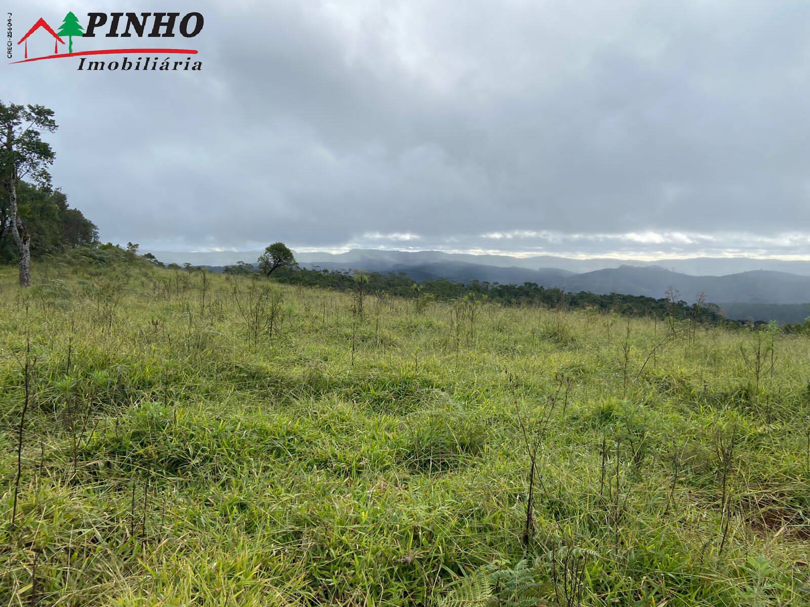 FAZENDA EM ITAPEVA