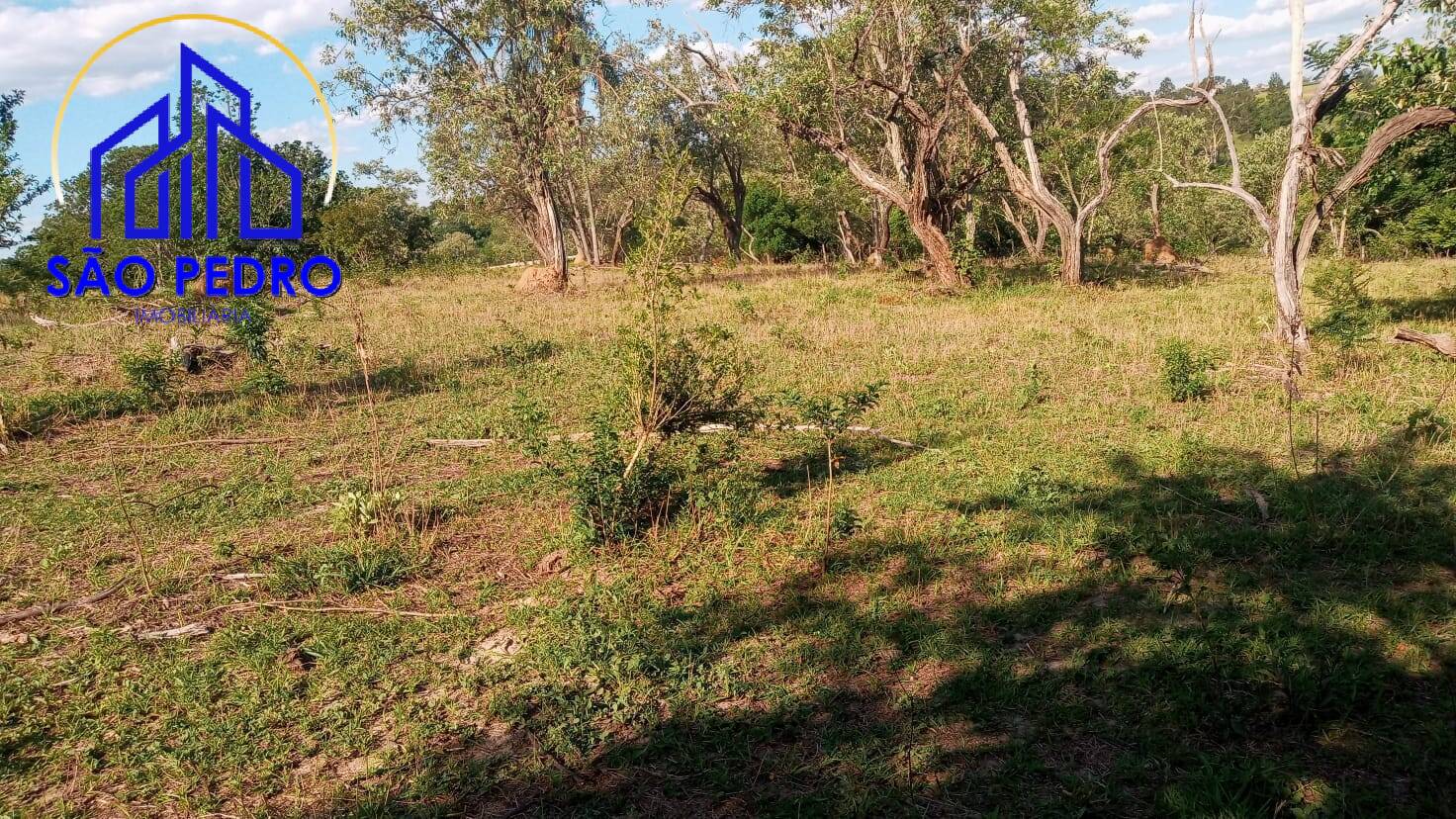 Sítio, 3 quartos, 2 hectares - Foto 12