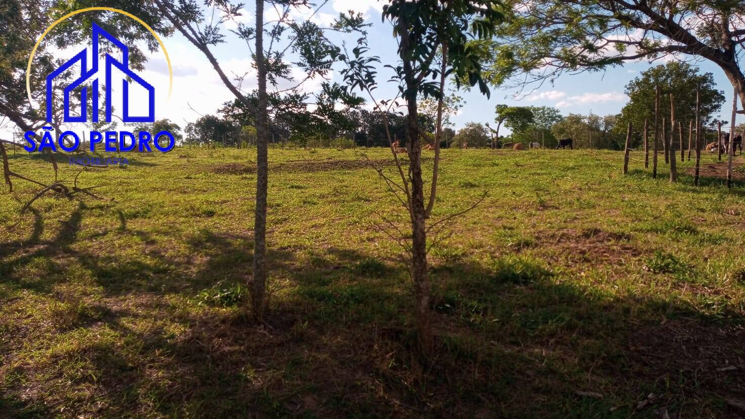 Sítio, 3 quartos, 2 hectares - Foto 19