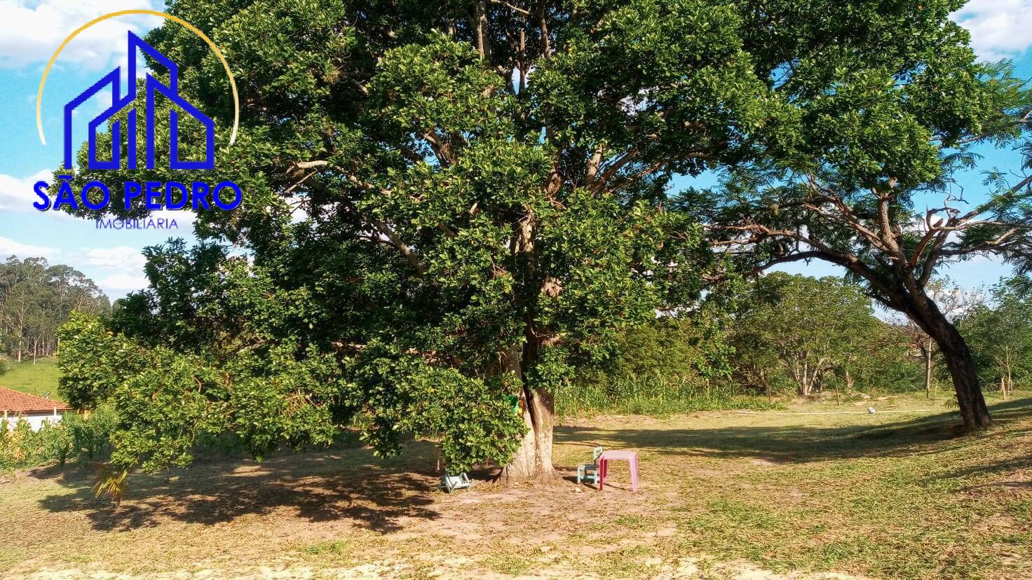 Sítio, 3 quartos, 2 hectares - Foto 22