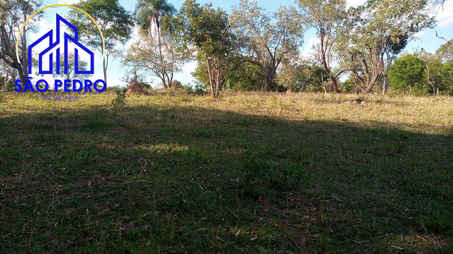 Sítio, 3 quartos, 2 hectares - Foto 35