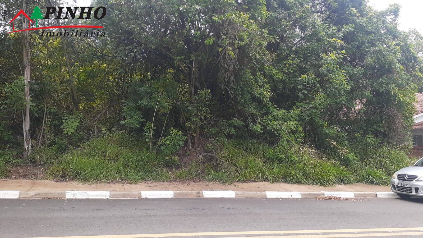TERRENO NA FLORESTA ESCURA