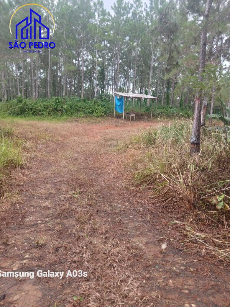 Fazenda localizada na Região de Pariquera-Açu