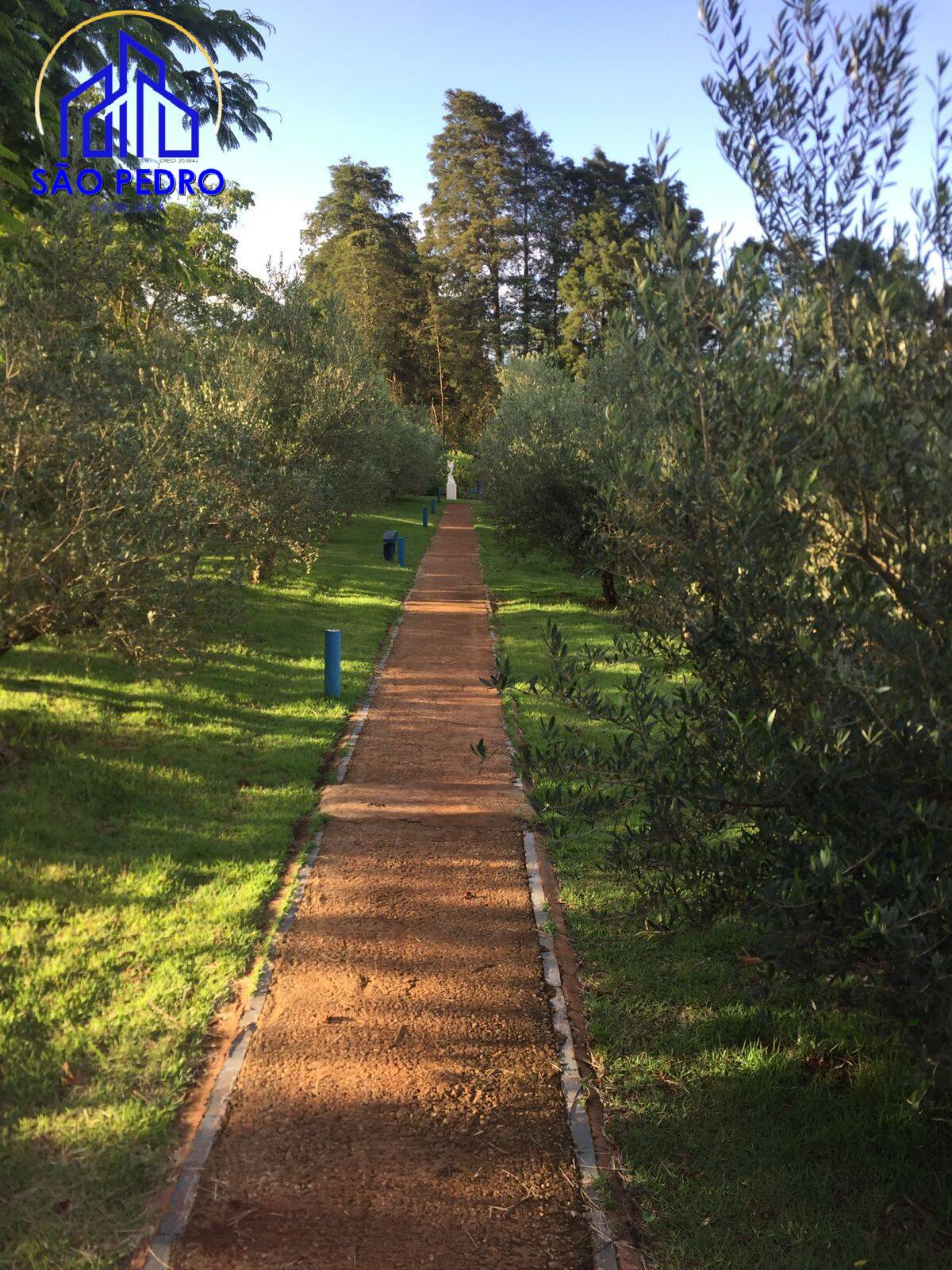 Prédio Inteiro à venda, 44022m² - Foto 13