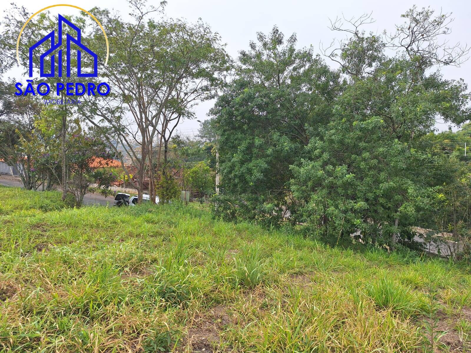 Terreno à venda, 526590m² - Foto 13