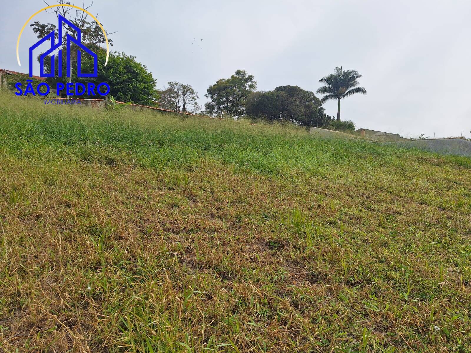 Terreno à venda, 526590m² - Foto 15