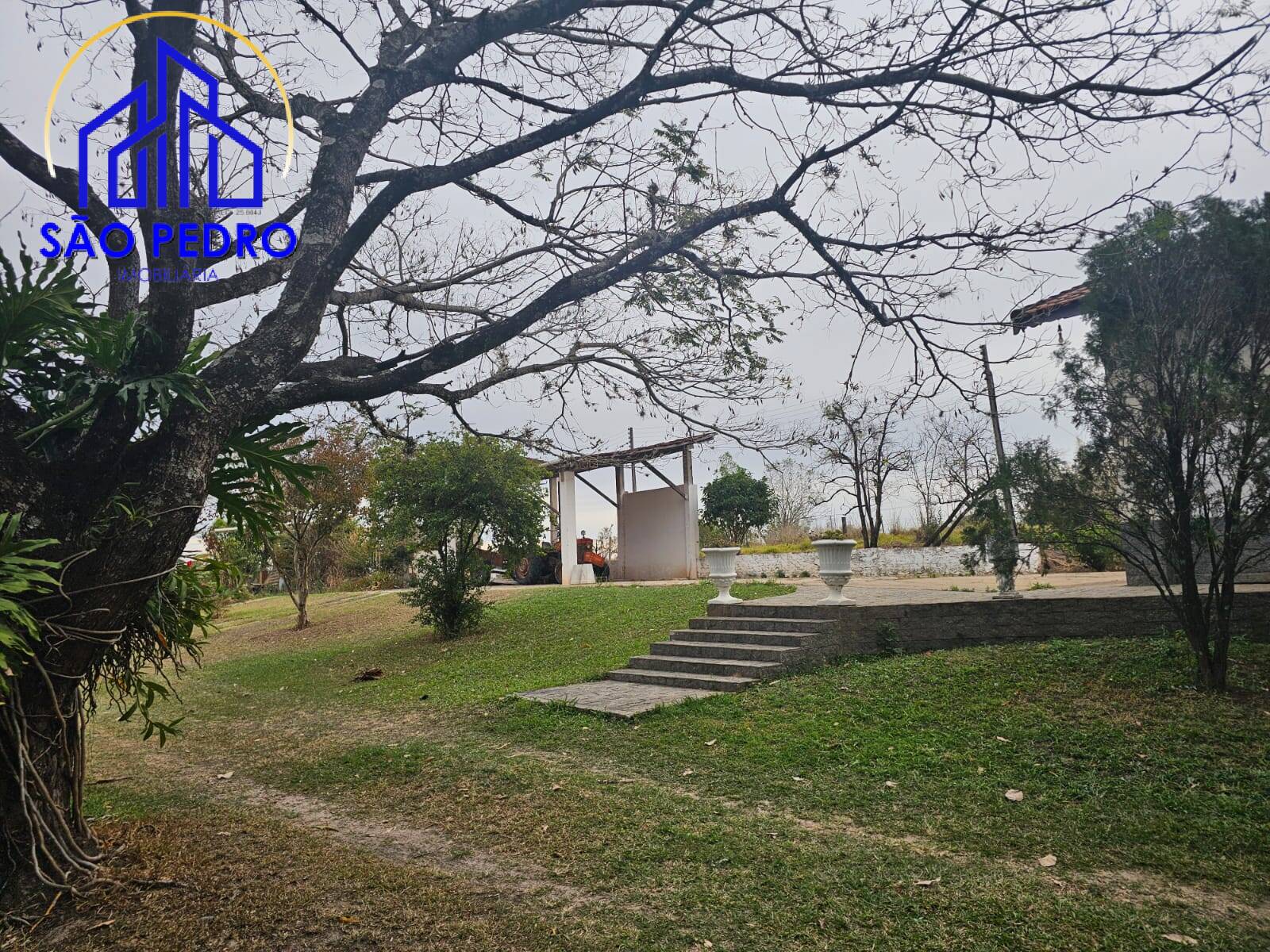 Chácara à venda com 4 quartos, 24800m² - Foto 1