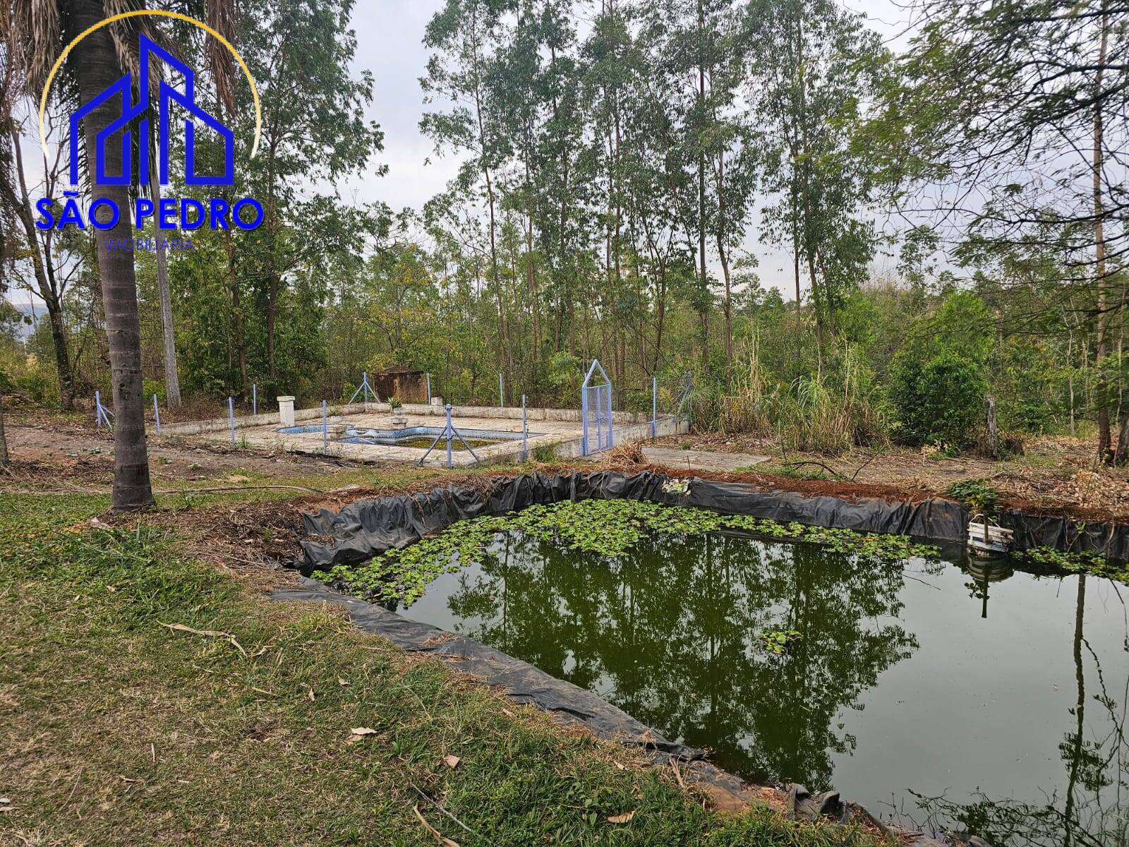 Chácara à venda com 4 quartos, 24800m² - Foto 3