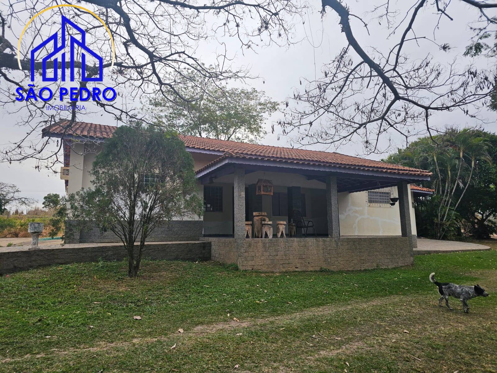 Chácara à venda com 4 quartos, 24800m² - Foto 4