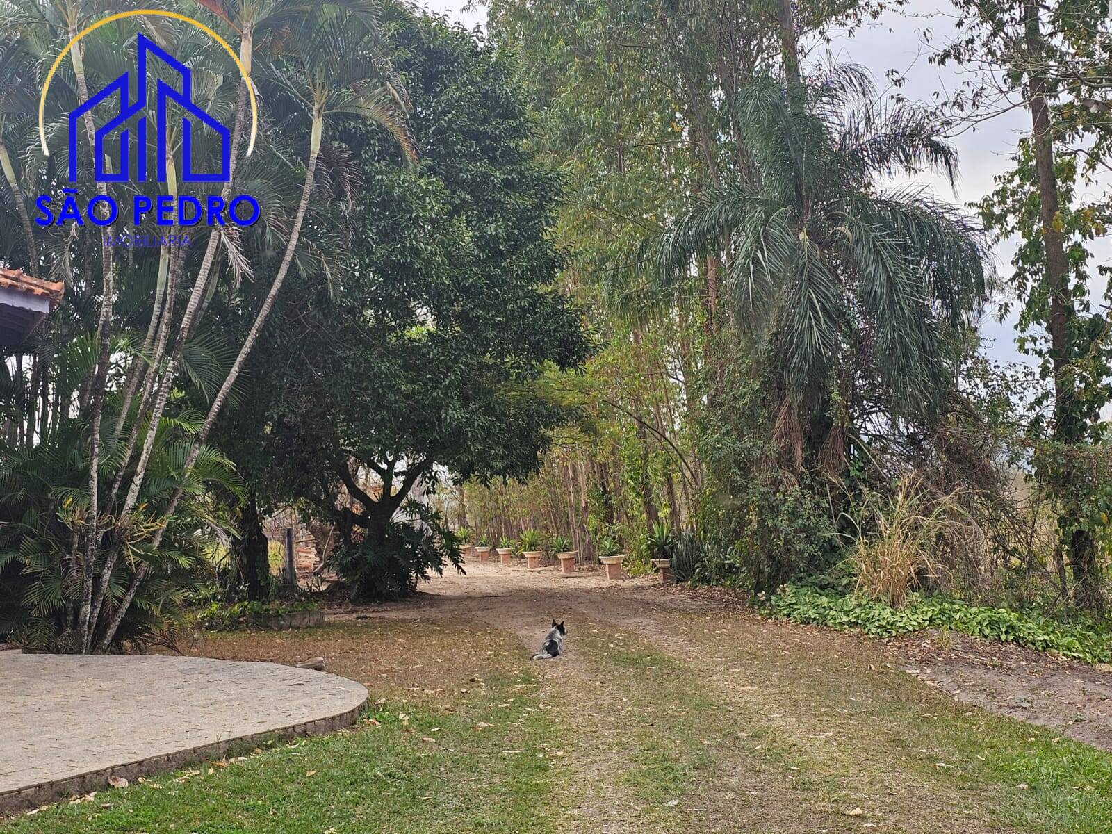 Chácara à venda com 4 quartos, 24800m² - Foto 7