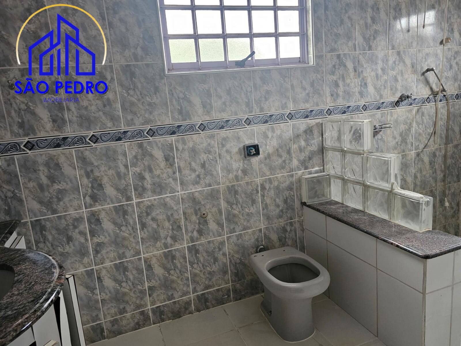 Chácara à venda com 4 quartos, 24800m² - Foto 9
