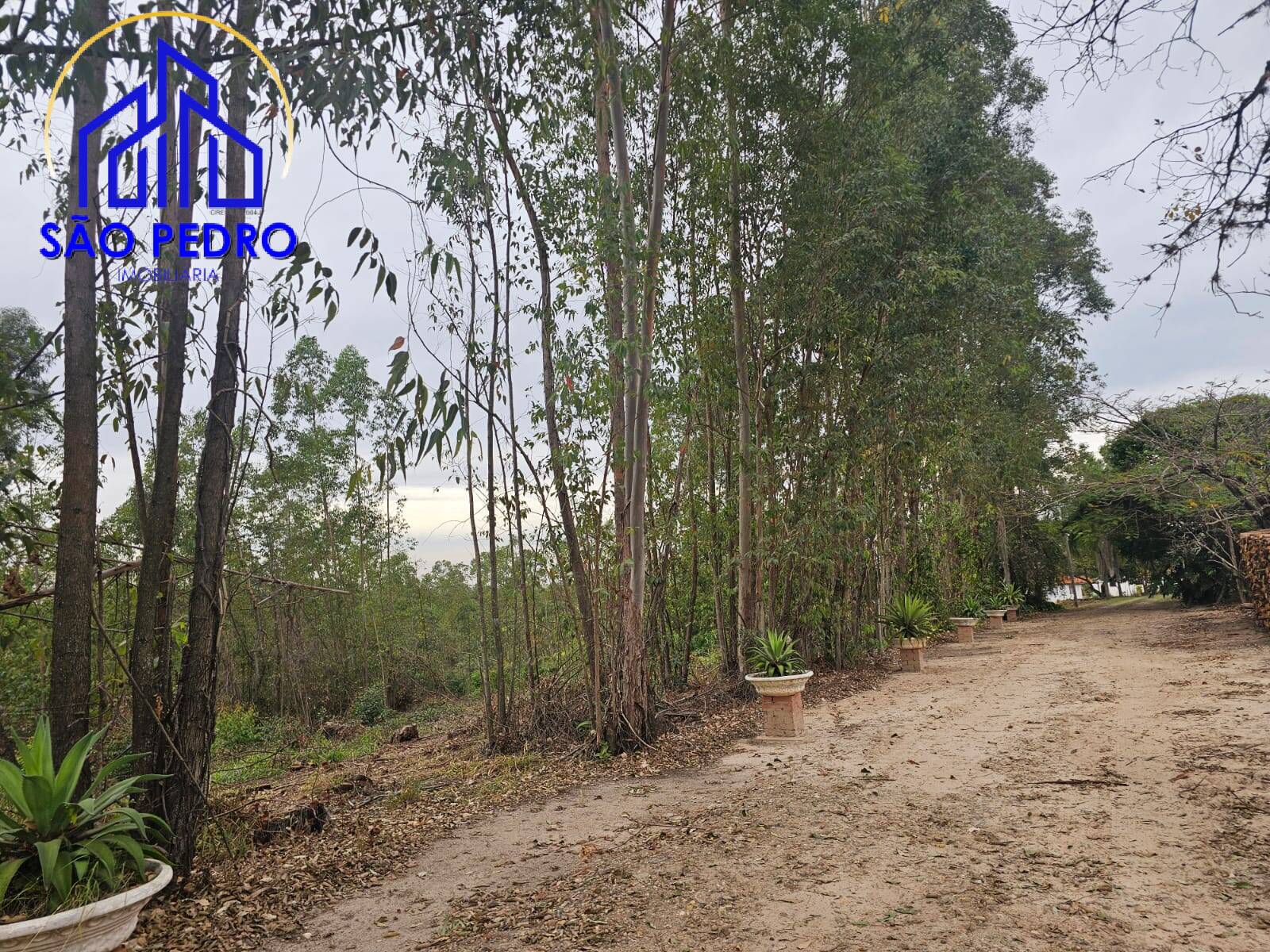 Chácara à venda com 4 quartos, 24800m² - Foto 30