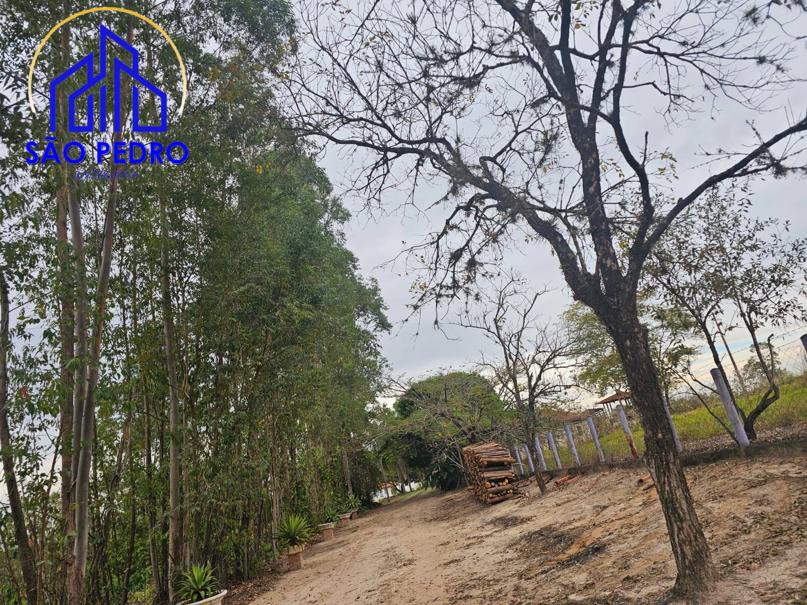 Chácara à venda com 4 quartos, 24800m² - Foto 31