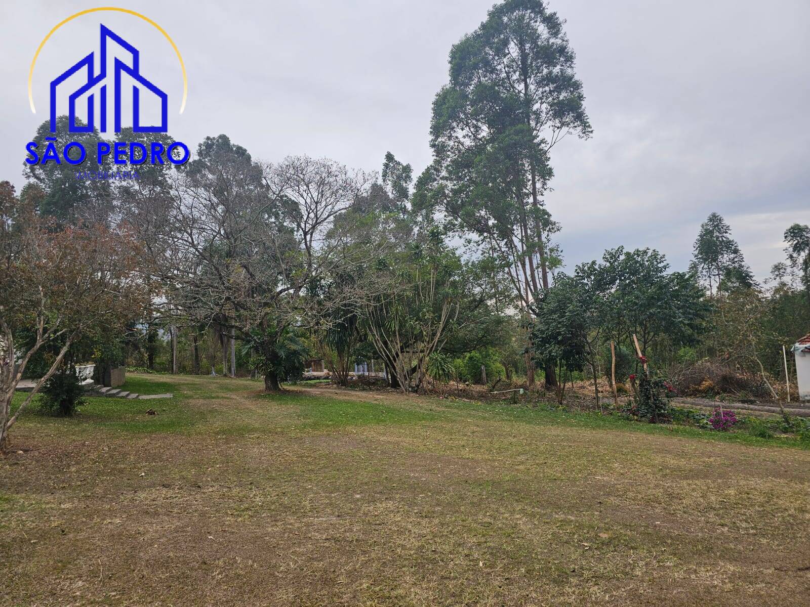 Chácara à venda com 4 quartos, 24800m² - Foto 32