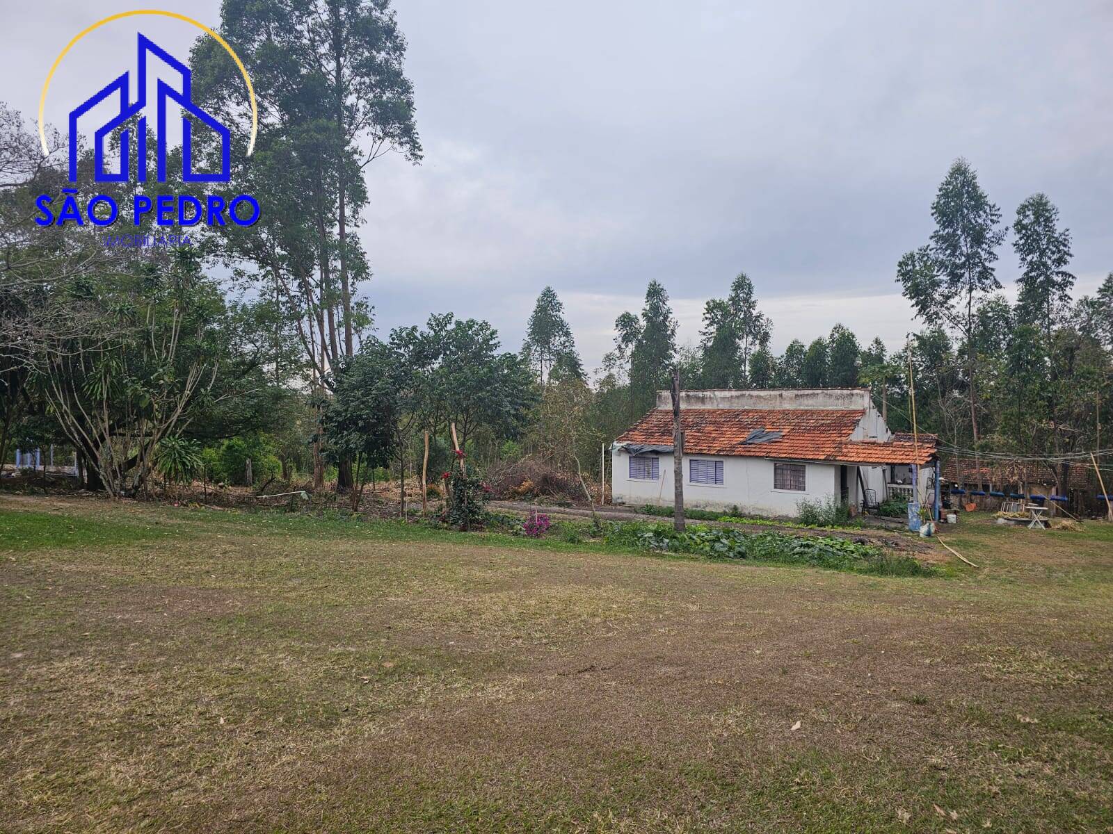 Chácara à venda com 4 quartos, 24800m² - Foto 33