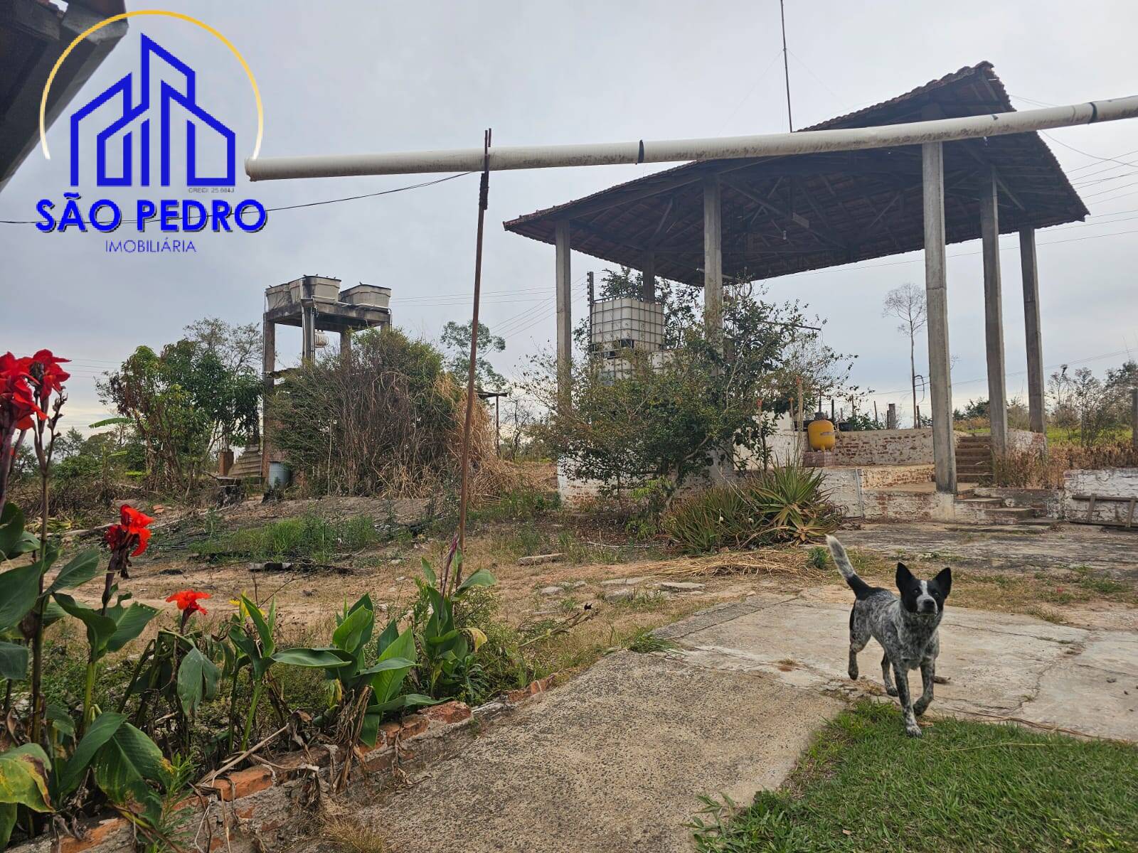 Chácara à venda com 4 quartos, 24800m² - Foto 38