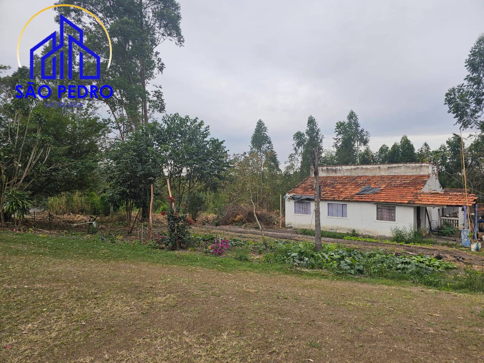 Chácara à venda com 4 quartos, 24800m² - Foto 42
