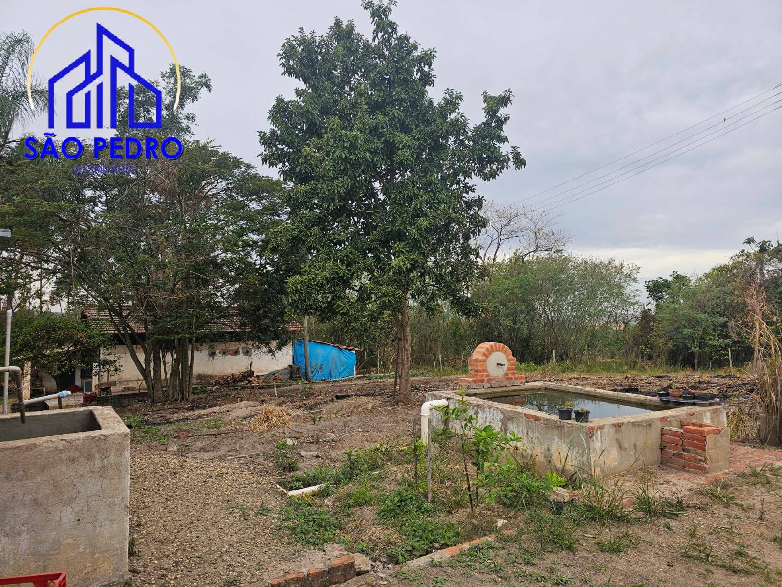 Chácara à venda com 4 quartos, 24800m² - Foto 45