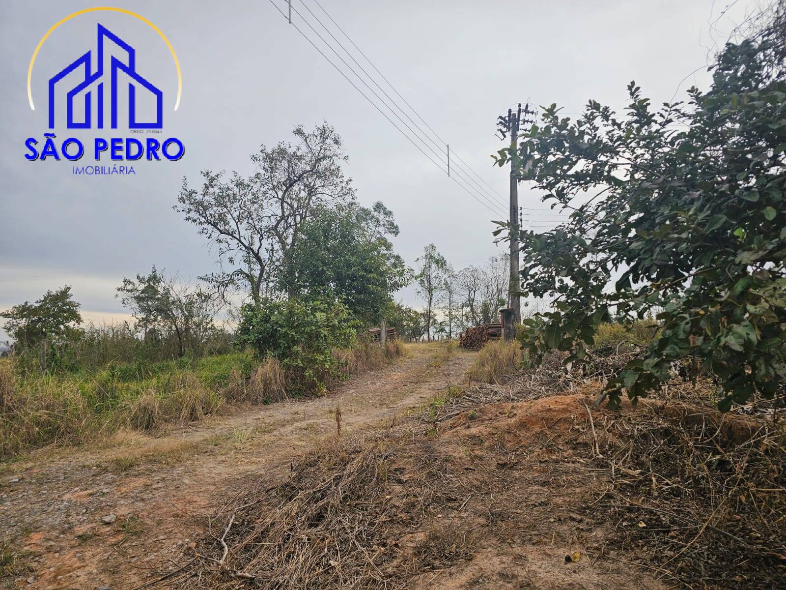 Chácara à venda com 4 quartos, 24800m² - Foto 47