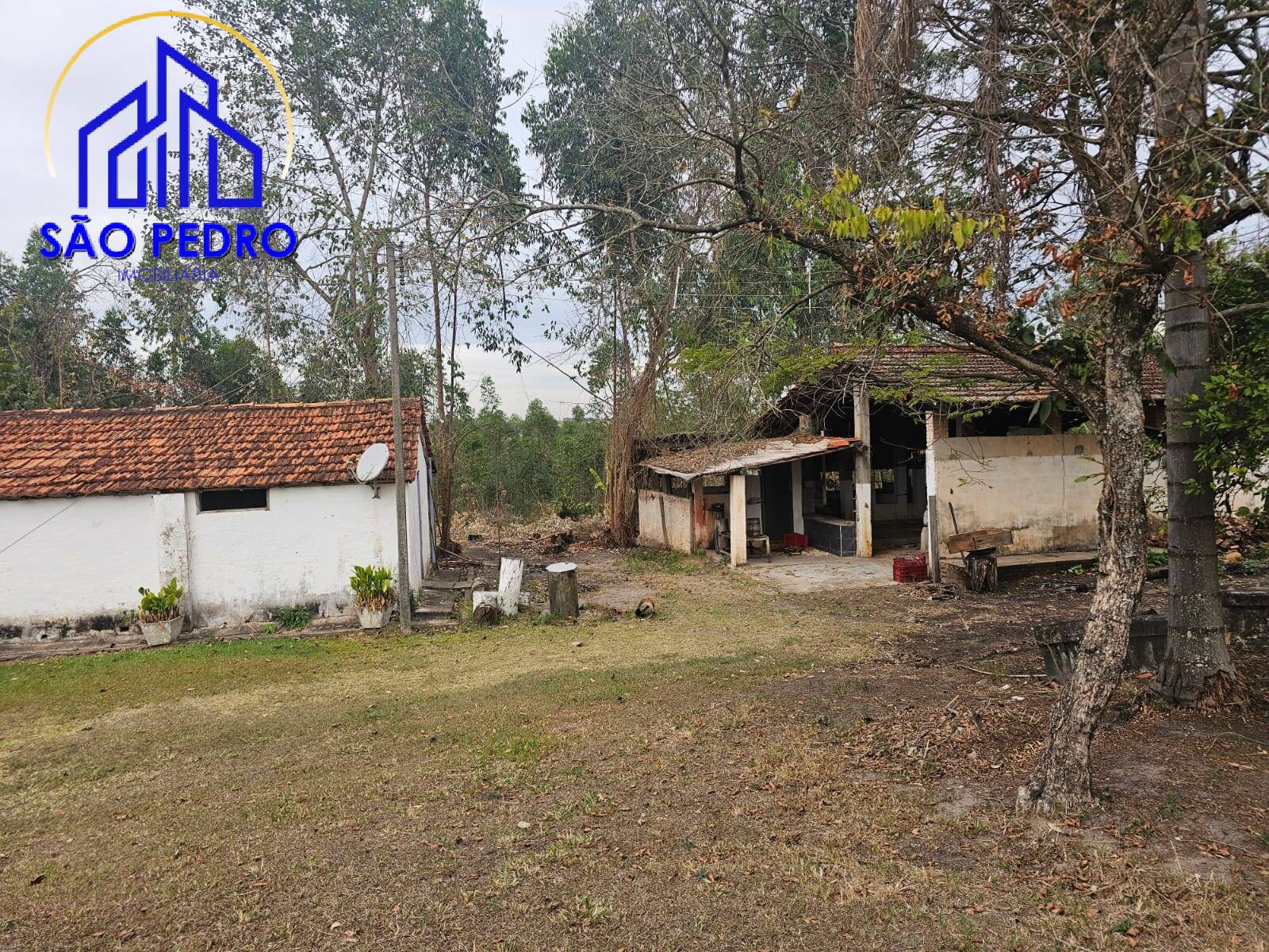 Chácara à venda com 4 quartos, 24800m² - Foto 54