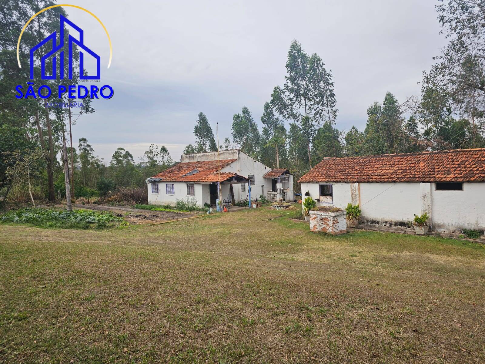 Chácara à venda com 4 quartos, 24800m² - Foto 55
